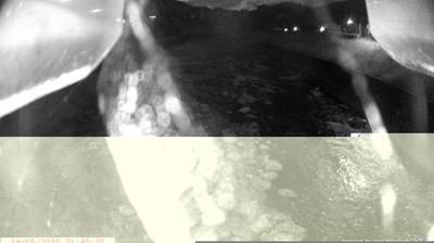 immagine della webcam nei dintorni di Fiavè: webcam Spiazzo