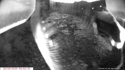 immagine della webcam nei dintorni di San Lorenzo in Banale: webcam Spiazzo
