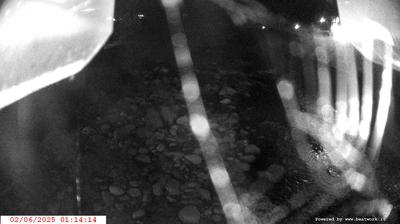 immagine della webcam nei dintorni di Madonna di Campiglio: webcam Spiazzo