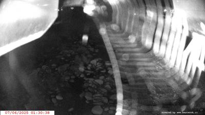 immagine della webcam nei dintorni di Sella Giudicarie: webcam Spiazzo