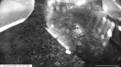 immagine della webcam nei dintorni di Pinzolo: webcam Spiazzo