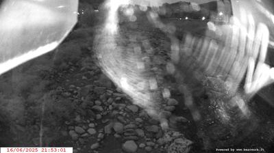 immagine della webcam nei dintorni di Sant'Antonio di Mavignola: webcam Spiazzo