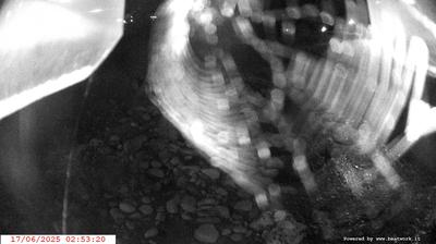 immagine della webcam nei dintorni di Molveno: webcam Spiazzo