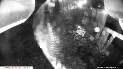 immagine della webcam nei dintorni di Passo Tonale: webcam Spiazzo