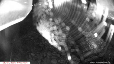 immagine della webcam nei dintorni di Madonna di Campiglio: webcam Spiazzo