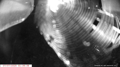 immagine della webcam nei dintorni di Saviore dell'Adamello: webcam Spiazzo