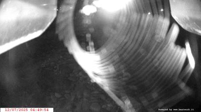 immagine della webcam nei dintorni di Sant'Antonio di Mavignola: webcam Spiazzo