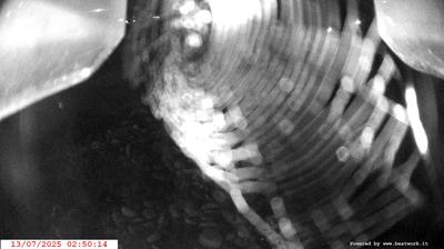 immagine della webcam nei dintorni di Passo Tonale: webcam Spiazzo