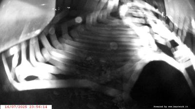 immagine della webcam nei dintorni di Roncone: webcam Spiazzo