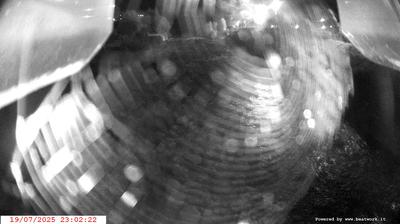 immagine della webcam nei dintorni di Fiavè: webcam Spiazzo