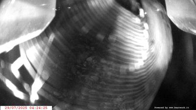 immagine della webcam nei dintorni di Molveno: webcam Spiazzo
