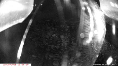 immagine della webcam nei dintorni di Molveno: webcam Spiazzo