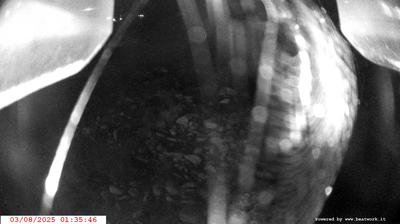 immagine della webcam nei dintorni di Sella Giudicarie: webcam Spiazzo