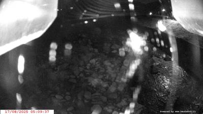 immagine della webcam nei dintorni di Madonna di Campiglio: webcam Spiazzo