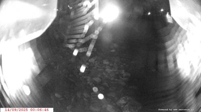 immagine della webcam nei dintorni di Roncone: webcam Spiazzo
