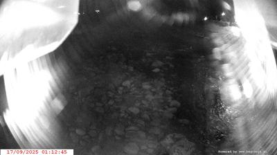 immagine della webcam nei dintorni di Daone: webcam Spiazzo