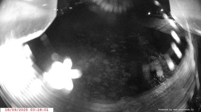 immagine della webcam nei dintorni di Sant'Antonio di Mavignola: webcam Spiazzo