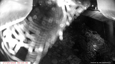 immagine della webcam nei dintorni di Vermiglio: webcam Spiazzo