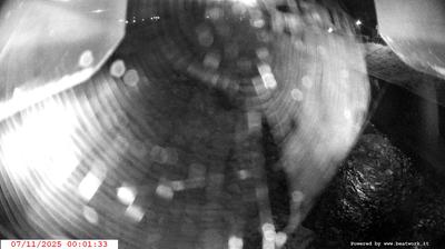 immagine della webcam nei dintorni di Campo Carlo Magno: webcam Spiazzo