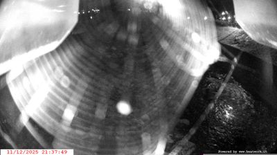 immagine della webcam nei dintorni di Sant'Antonio di Mavignola: webcam Spiazzo