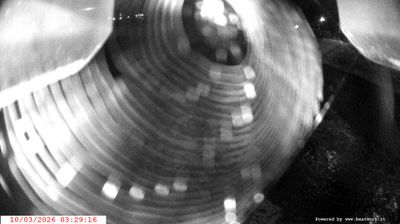 immagine della webcam nei dintorni di Pinzolo: webcam Spiazzo