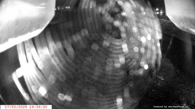 immagine della webcam nei dintorni di Vermiglio: webcam Spiazzo