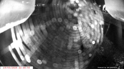 immagine della webcam nei dintorni di Rifugio Viviani: webcam Spiazzo