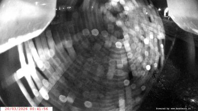 immagine della webcam nei dintorni di Passo Tonale: webcam Spiazzo