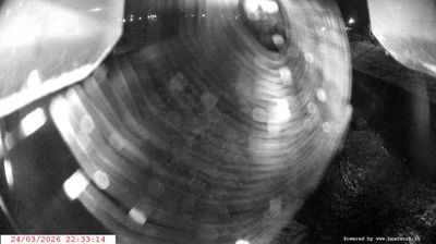 immagine della webcam nei dintorni di Pinzolo: webcam Spiazzo