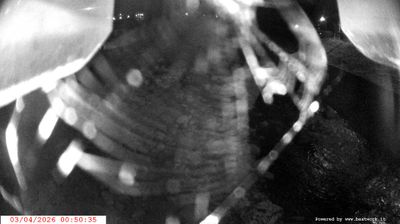 immagine della webcam nei dintorni di Saviore dell'Adamello: webcam Spiazzo