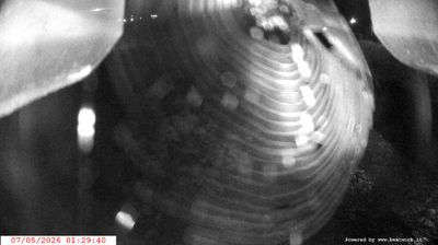 immagine della webcam nei dintorni di Caderzone Terme: webcam Spiazzo