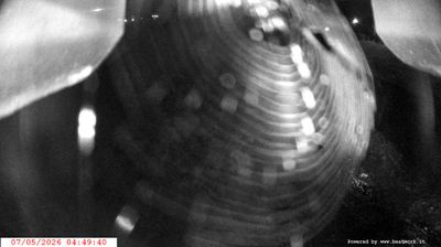 immagine della webcam nei dintorni di San Lorenzo in Banale: webcam Spiazzo