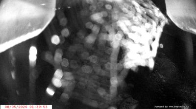 immagine della webcam nei dintorni di Passo Tonale: webcam Spiazzo
