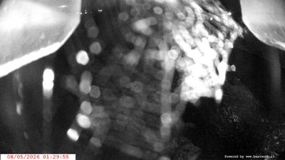 immagine della webcam nei dintorni di Roncone: webcam Spiazzo