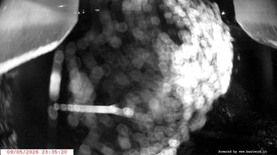 immagine della webcam nei dintorni di Pinzolo: webcam Spiazzo