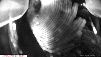 immagine della webcam nei dintorni di Caderzone: webcam Spiazzo