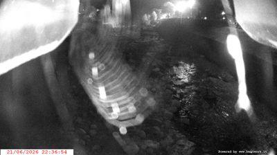 immagine della webcam nei dintorni di Madonna di Campiglio: webcam Spiazzo
