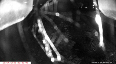 immagine della webcam nei dintorni di Passo Tonale: webcam Spiazzo