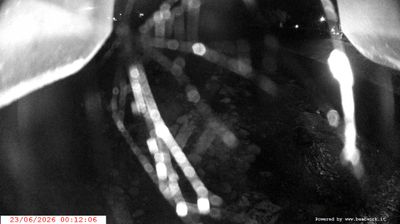 immagine della webcam nei dintorni di Passo Tonale: webcam Spiazzo