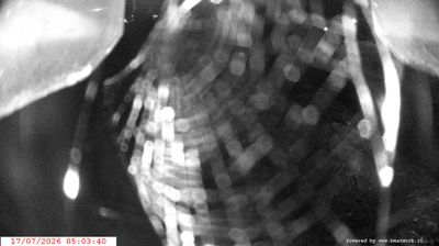 immagine della webcam nei dintorni di Vallelaghi: webcam Spiazzo