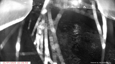 immagine della webcam nei dintorni di Carisolo: webcam Spiazzo