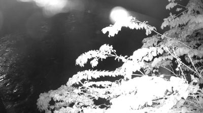 immagine della webcam nei dintorni di Concei: webcam Zuclo