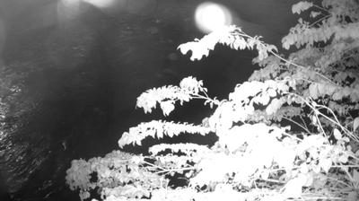 immagine della webcam nei dintorni di Fiavè: webcam Zuclo