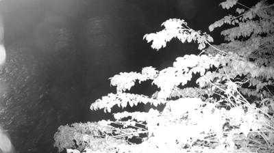 immagine della webcam nei dintorni di San Lorenzo in Banale: webcam Zuclo