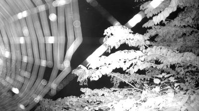 immagine della webcam nei dintorni di Sant'Antonio di Mavignola: webcam Zuclo
