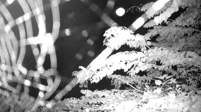 immagine della webcam nei dintorni di Ledro: webcam Zuclo