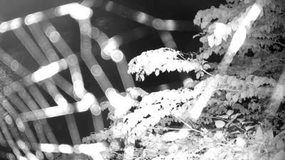 immagine della webcam nei dintorni di Roncone: webcam Zuclo