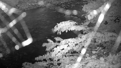 immagine della webcam nei dintorni di Carisolo: webcam Zuclo
