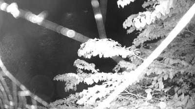 immagine della webcam nei dintorni di Sant'Antonio di Mavignola: webcam Zuclo