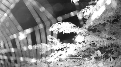 immagine della webcam nei dintorni di Fiavè: webcam Zuclo